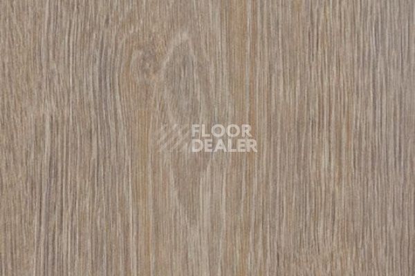 Виниловая плитка ПВХ FORBO Allura Flex Wood 60293FL1-60293FL5 steamed oak фото 1 | FLOORDEALER
